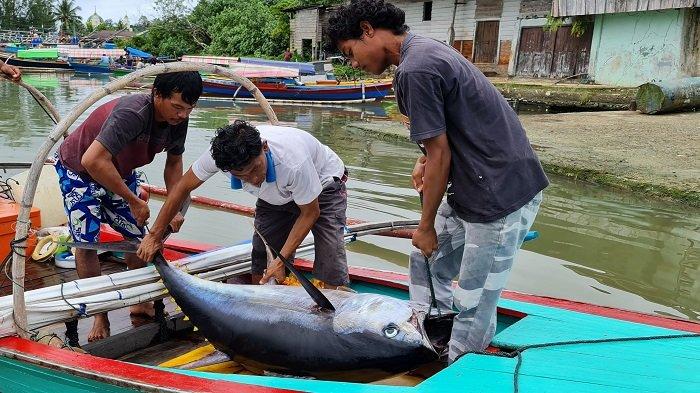 hasil tangkap nelayan desa suka karya